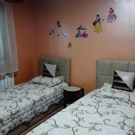 Guest house Mir Pirot