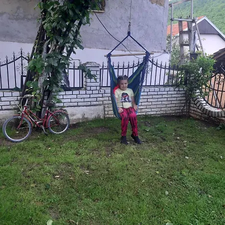 Mir