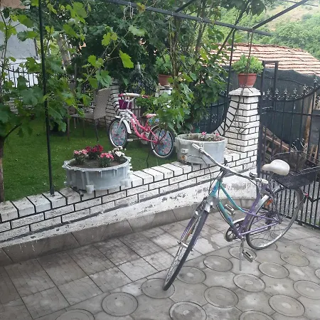 Mir Pirot