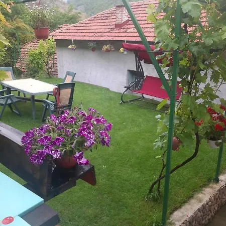Guest house Mir